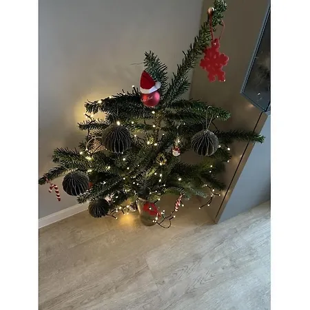 Dike Crown In Haus Grimmershoern